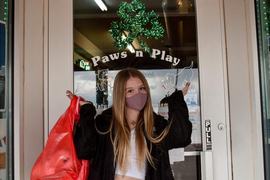 Small Business Spotlight – Paws n’ Play