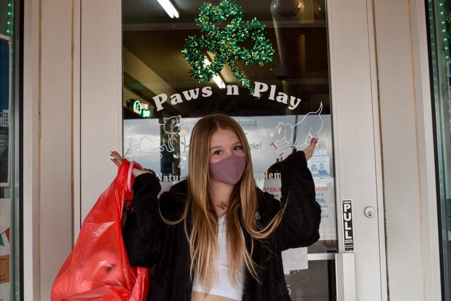 Small Business Spotlight - Paws n' Play